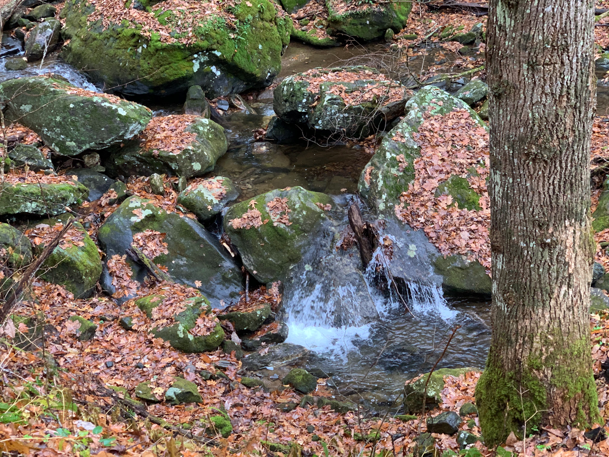 water cascading down some rocks